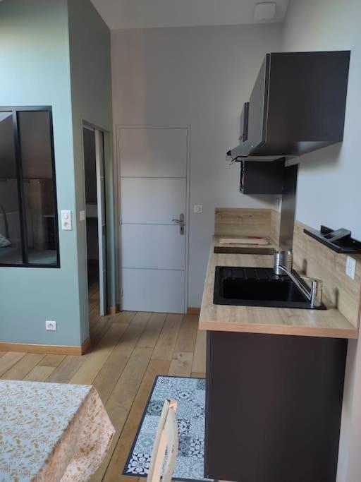 Appartement Le Saint Maur Neuville-du-Poitou Exterior foto